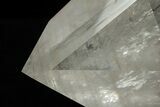 Glassy, Natural Quartz Crystal Point - Huge #233930-1